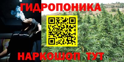 ешки Кандалакша