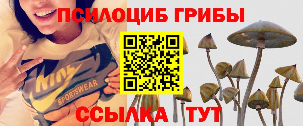 Галлюциногенные грибы ЛСД  Вход с VPN  Костомукша 