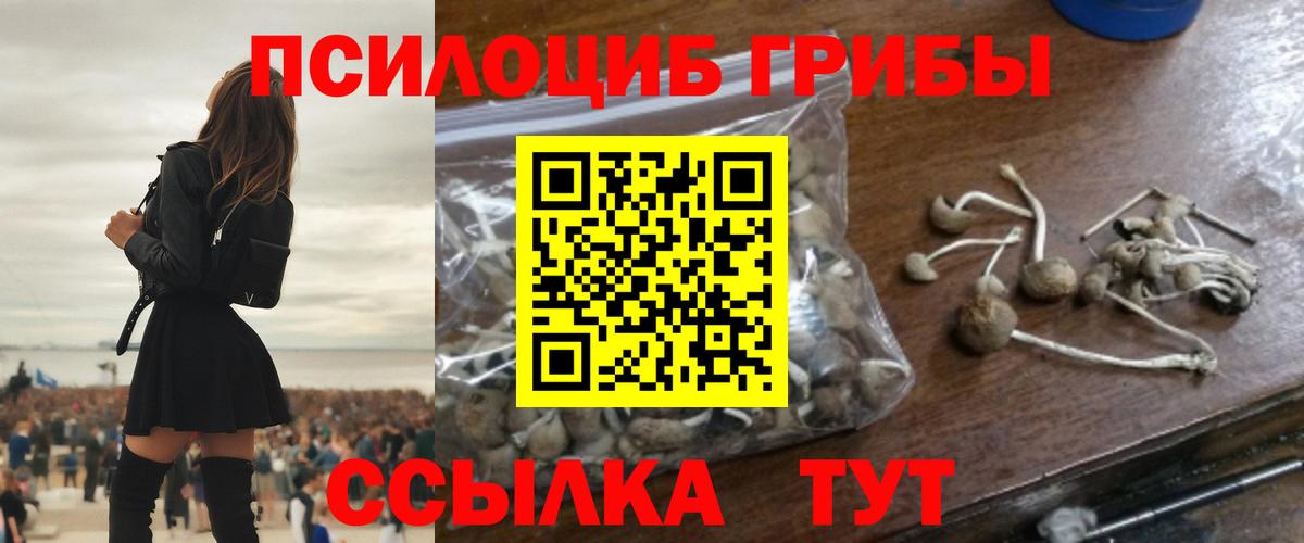 Галлюциногенные грибы ЛСД Костомукша